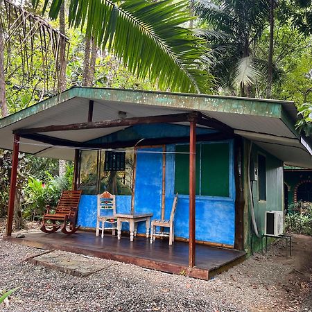 Chosa Manglar Suites & Cabins Puerto Jiménez المظهر الخارجي الصورة