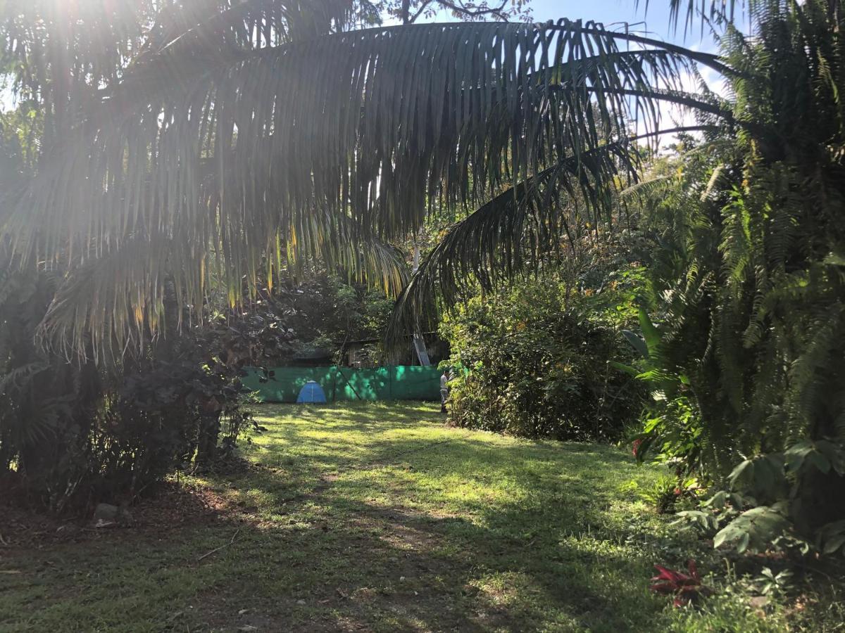 Chosa Manglar Suites & Cabins Puerto Jiménez المظهر الخارجي الصورة