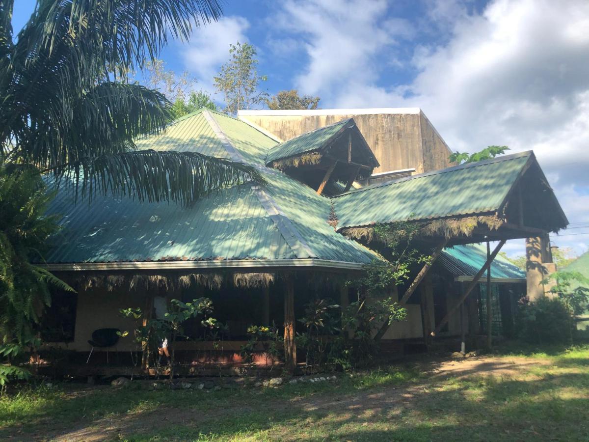 Chosa Manglar Suites & Cabins Puerto Jiménez المظهر الخارجي الصورة
