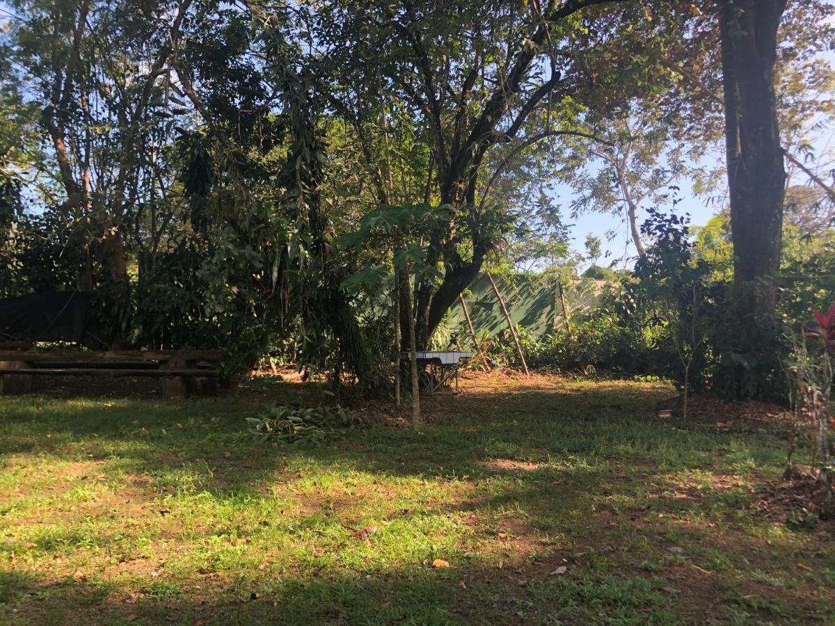 Chosa Manglar Suites & Cabins Puerto Jiménez المظهر الخارجي الصورة
