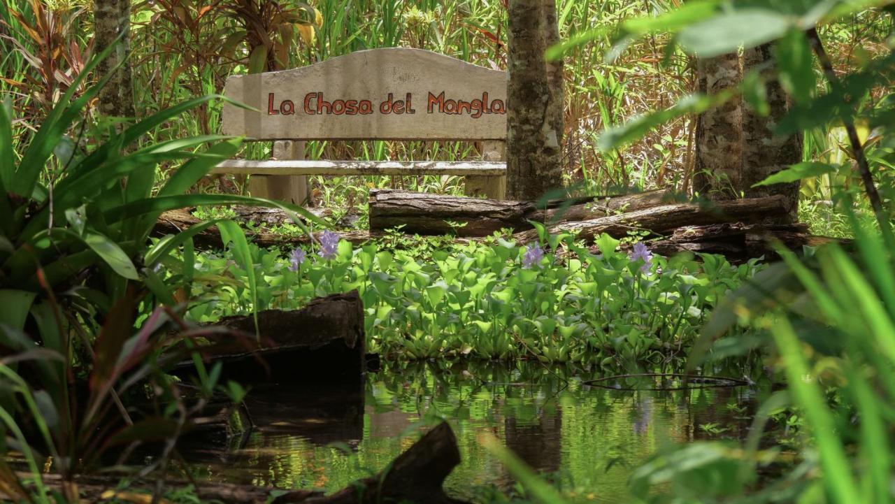 Chosa Manglar Suites & Cabins Puerto Jiménez المظهر الخارجي الصورة