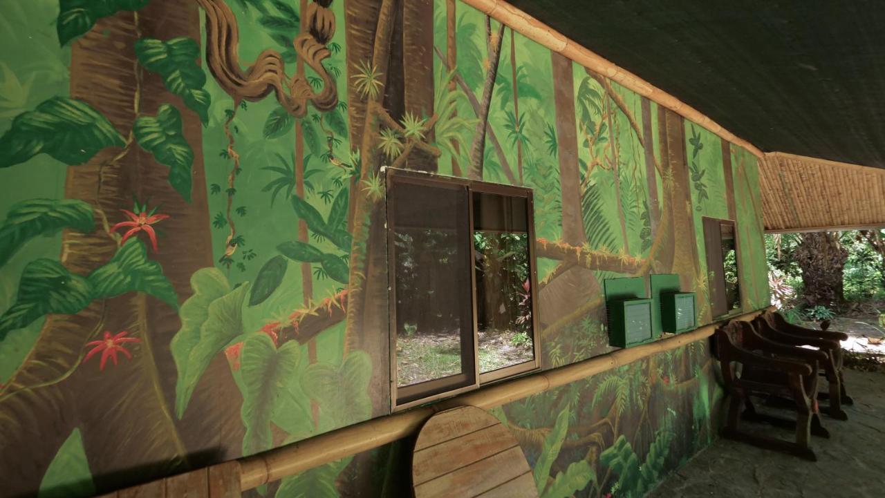 Chosa Manglar Suites & Cabins Puerto Jiménez المظهر الخارجي الصورة