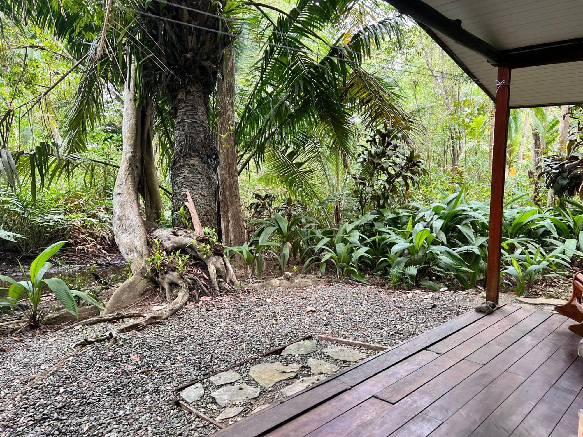 Chosa Manglar Suites & Cabins Puerto Jiménez المظهر الخارجي الصورة
