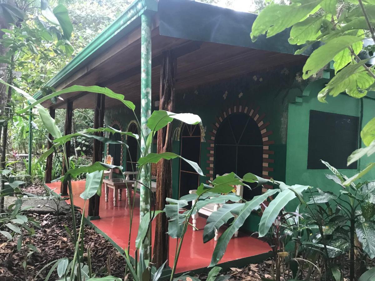 Chosa Manglar Suites & Cabins Puerto Jiménez المظهر الخارجي الصورة